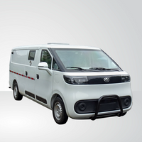 Pure Electric-MAXUS（DaNa V1)