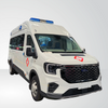 Ford（Transit T8）